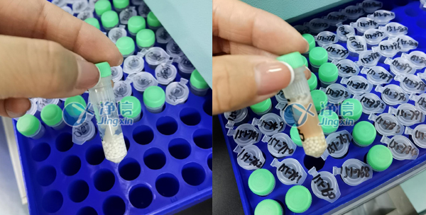 樣品研磨效果圖 樣品研磨效果圖