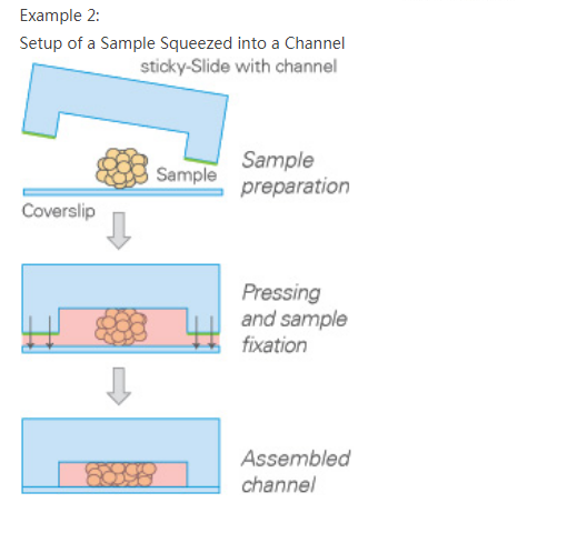 1642563551139446.png 637605000075361541241.png