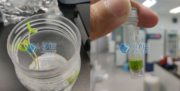 1647336977133458.jpg 樣品研磨效果