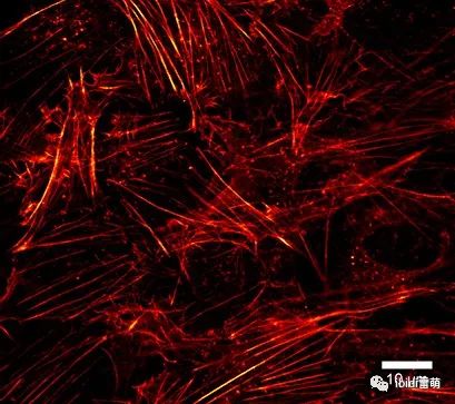 1689327207725940.jpg 1689327207725940.jpg