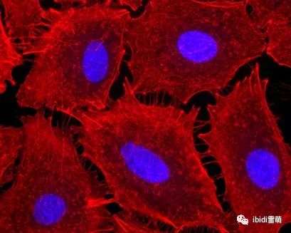 1689327270214711.jpg 1689327270214711.jpg