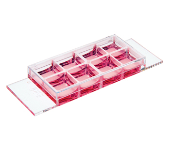 1691033987736338.jpg 1691033987736338.jpg