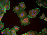 1691040495200793.jpg ede92c85aa95c3cb8ff022378b3d0484.jpg