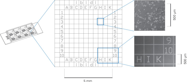 1691040532210204.jpg 1691040532210204.jpg