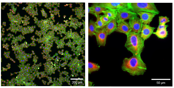 1697705420195573.png 7590a6c3b254425756bcc9a1a11838c7.png