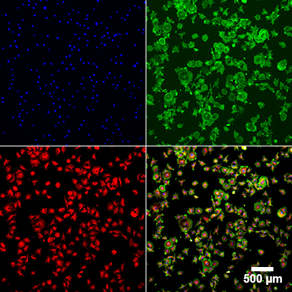 1701934361201304.png 1701934361201304.png