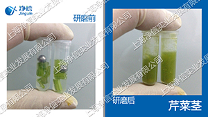 1724406587197295.png 植物組織研磨儀研磨芹菜莖部組織試驗方法.png