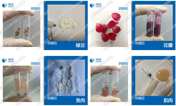 1724665862213469.png 多樣品組織研磨儀樣品研磨效果圖.png