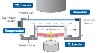 1734331049117964.png ibidi加熱系統.png