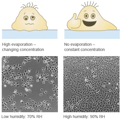 1735092884311849.jpg 1548.jpg