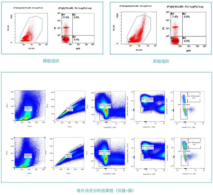 1760679453128675.png 813777879299.png