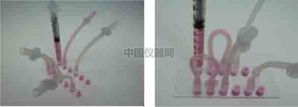 探討流體剪切力對細胞活動的影響--流體剪切力對細胞吸收人造細胞器的影響