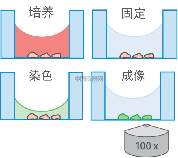 激光共聚焦實驗的樣品準備方法對比——無需細胞爬片的樣品準備新方法VS傳統方法