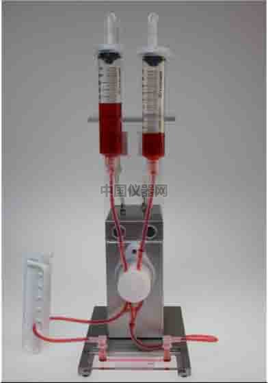 血管內皮細胞模擬體內流體環境