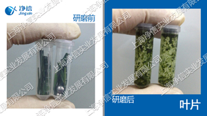 全自動樣品快速研磨儀 型號:JXFSTPRP-24