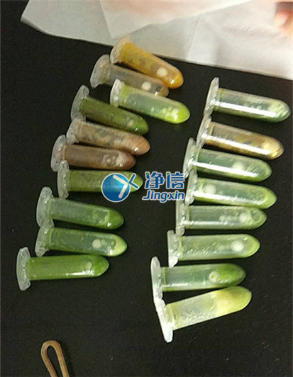 超高通量組織研磨儀