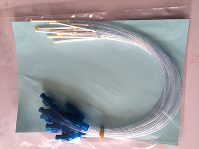 實驗室一起大王展示RHIZON SMS&nbsp;搜集根際土壤溶液采集器